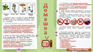 На воде и в лесу страницы 17-20 - Окружающий мир (рабочая тетрадь) - 2 класс 2 часть