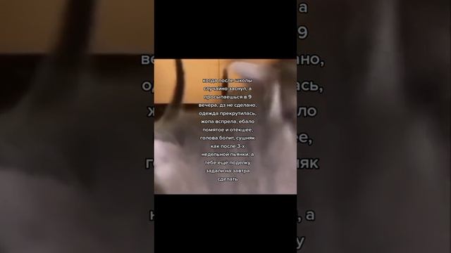 хаахахвхахахахах смотреть онлайн