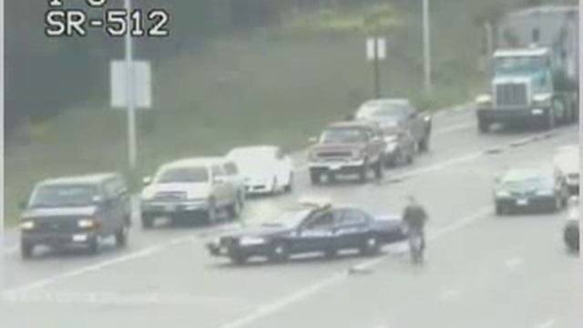 Полицейский пропускает утку с утятами смотреть онлайн