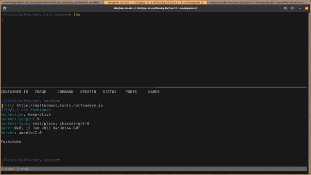 ziti-edge-tunnel docker entrypoint enrollment methods смотреть онлайн