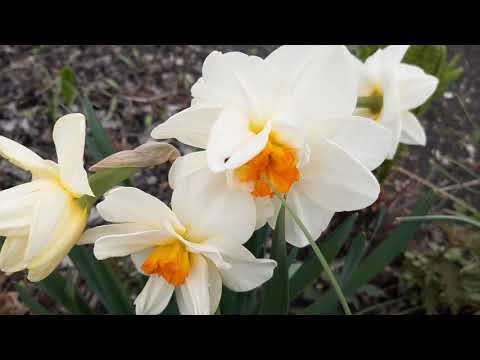 Ох, уж эта весна... смотреть онлайн