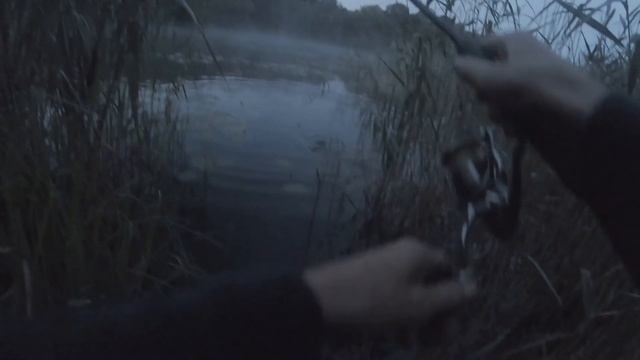 Kai Pagauti Lyną...Vilniuje (iš 2021 M. Archyvo)