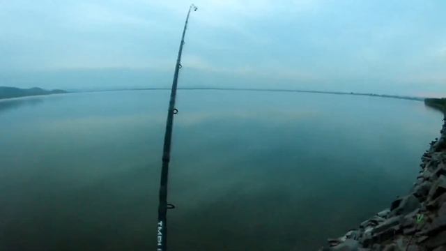 Рыбалка на карася. Крупный весенний карась!! смотреть онлайн