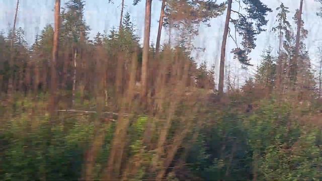 Электричка Кузнечное - Санкт - Петербург. Вид от Кузнечного по Приозерск. смотреть онлайн