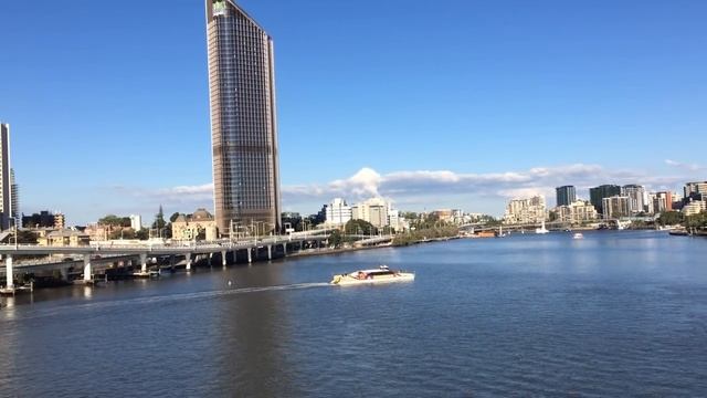 ВСЕ ЭТО ЕСТЬ в АВСТРАЛИИ наши елки и сосны, прохладный чистый воздух + КЕНГУРУ Аustralia Travel Vlo