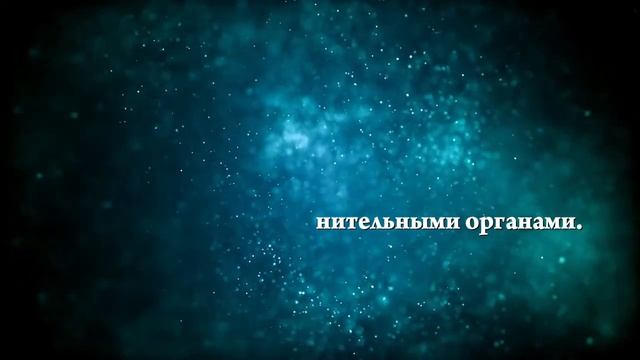 К чему снится мужчина в белом костюме - Онлайн Сонник Эксперт смотреть онлайн