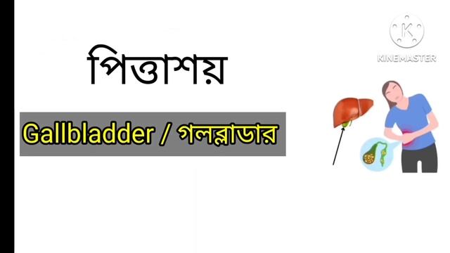 Advance english words *Advance english vocabulary*এডভান্স ইংরেজি শব্দার্থ#vocabulary#spokenenglish смотреть онлайн