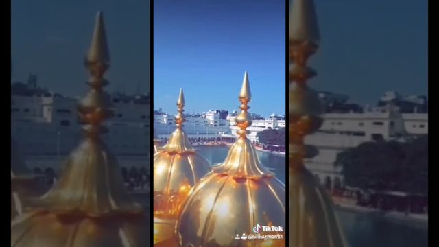 Darbaar sahib #goldentemple #amritsar #khalsa #singh #india #punjab #punjabi #guru #sikh #wahaguru смотреть онлайн