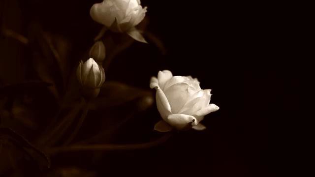 Самая лучшая русская песня и видео в хорошем качестве смотреть онлайн