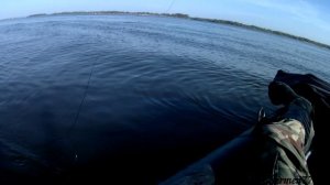 ЛОВЛЯ ЧЕХОНИ С ЛОДКИ НА ВОЛГЕ