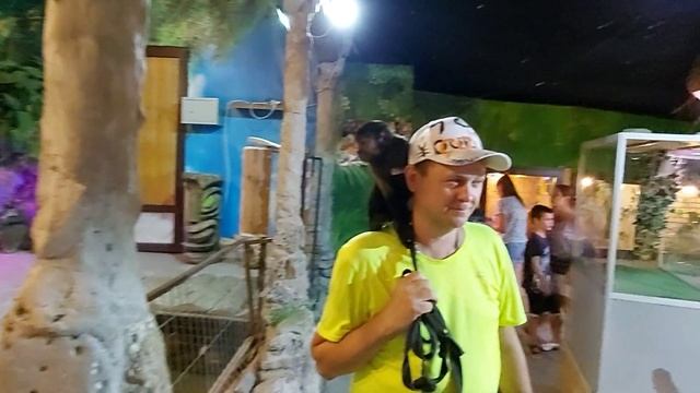 Маленькая обезьянка в контактном зоопарке. @В мире домашних животных смотреть онлайн