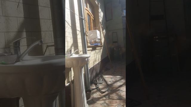 Соловей поет соловушка  видео. как же красиво поет. звуки пения птиц перепелка