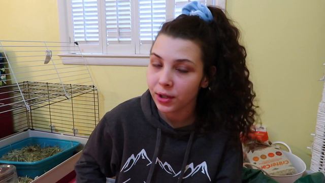 Meet my Bunny, Ruby! |T1d Lindsey| смотреть онлайн