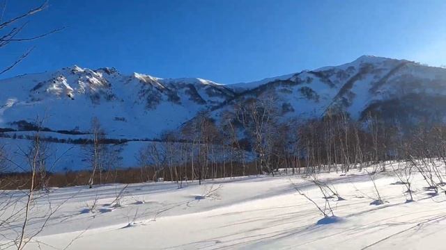 Камчатка, Зимняя поездка в Пущино к горячим источникам . смотреть онлайн