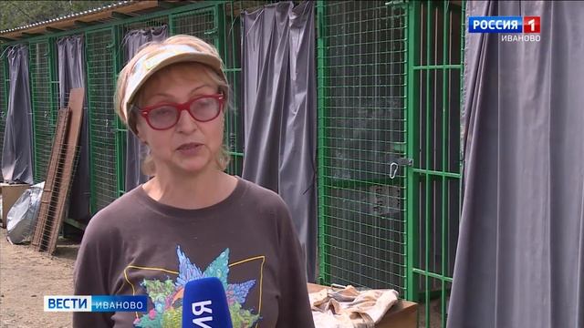 В ивановском приюте "Майский день" построили новые вольеры смотреть онлайн