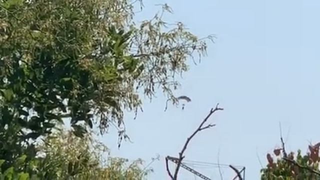 День независимости Украины: в Одессе проходит морской парад с участием кораблей и авиации смотреть онлайн