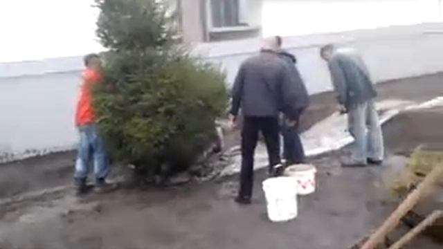 Таскают елку, ПРИКОЛ смотреть онлайн