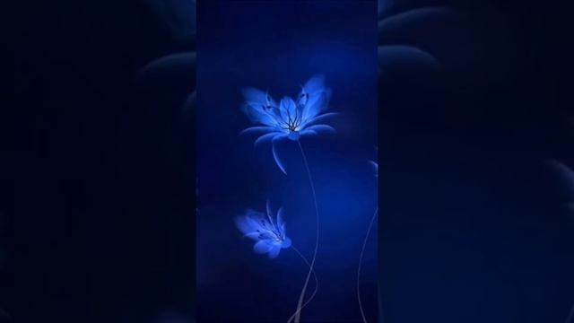 Hd Wallpaper Photo | Blue & Black iphone Samsung Wallpaper | Dp Picture For Whatsapp | смотреть онлайн