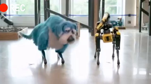 Робот собака смотреть онлайн