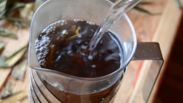 чай Рододендрон Кавказский смотреть онлайн