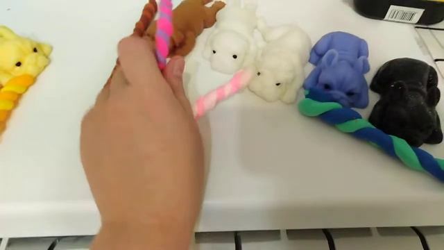 Вечер Сквиш Собак