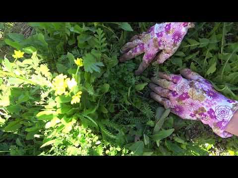 208. Майские смотреть онлайн