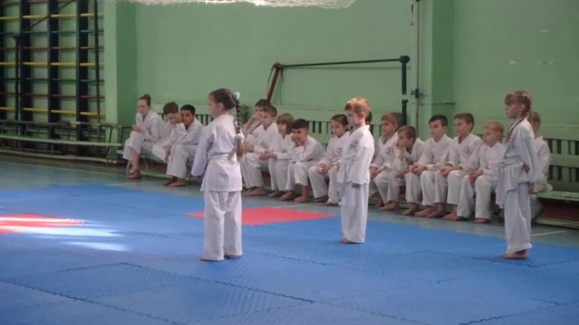 Весенний экзамен по карате 2020 смотреть онлайн