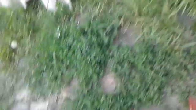 Самодельный плуг из предплужника смотреть онлайн