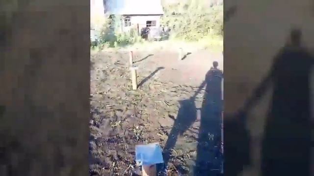 in nova Отзывы заказчиков 1 смотреть онлайн