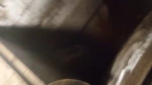 Замена термостата на Шкода Октавия тур 1,4 за 30 мин