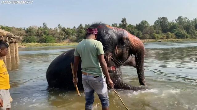Место где Богиня Изобилия исполняет Мечту! Мастер Рэм Гоа Карнатака Индия2022 г. смотреть онлайн