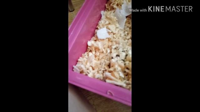 Эйван роет норы/Наш маленький кротик! смотреть онлайн