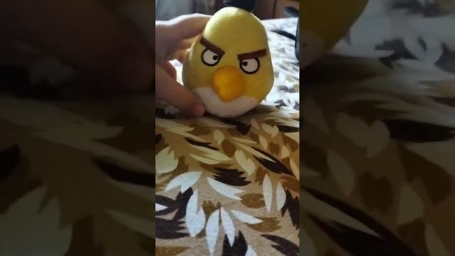 страшная история чёрный при чёрной комнаты