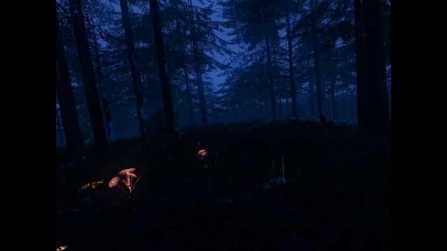 Nature Treks VR For SteamVR Gameplay Test