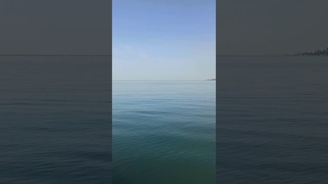 Сочи апрель 2022 смотреть онлайн