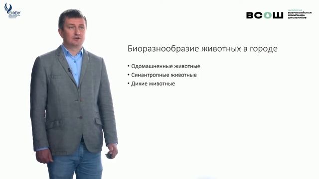Животные в городе Биоразнообразие и экология смотреть онлайн