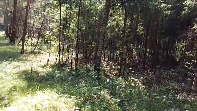 НОЧНОЙ ДОЗОР... КТО ОНИ? ВЕДЬМИНА ИЗБА смотреть онлайн