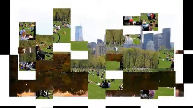 Central Park | Central Park zoo | Central Park in New York | central park five documentary смотреть онлайн