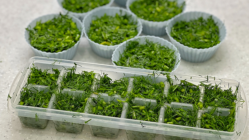 УКРОП на ЗИМУ. Свежий укроп круглый год! Лёгкий и быстрый способ. смотреть онлайн