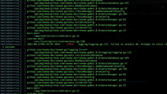 SkemaBuild: Running Service with Docker-Compose смотреть онлайн