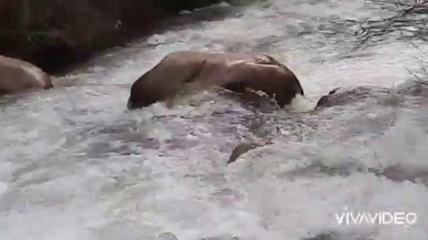 Ангрен. Янгиабад. 2021 Апрель. Angren. Yangiabad. 2021 Aprel.