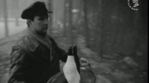 Маршал Климент Ворошилов