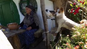 Готовим смородиновое желе и пирог Азербайджанская Кухня Деревенская Кухня  Рецепты