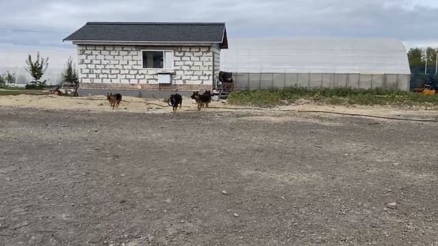 Как там Маруся смотреть онлайн