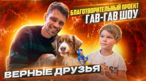 Благотворительный проект ГАВ-ГАВ шоу | Верные друзья