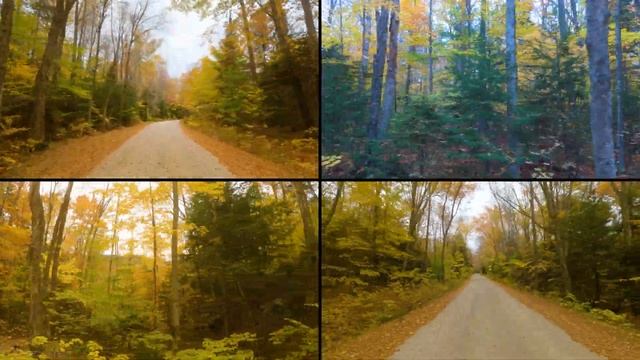 8K Autumn Scenic Roads of New England - 10/14/21 - Multiview of New Hampshire's Nature Fall Colors смотреть онлайн