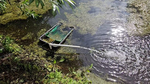 Чистка пруда самодельным скимером. смотреть онлайн