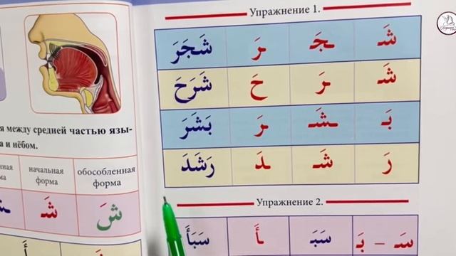 Рецитация Священного Корана. Урок 6. смотреть онлайн