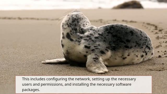 Setting up a Hadoop cluster using a distribution such as Cloudera or Hortonworks смотреть онлайн