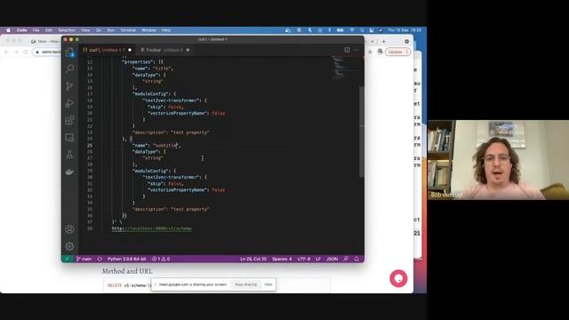 Weaviate Meetup – Getting Started (setup, vectorizers, schemas, importing data and GraphQL) смотреть онлайн